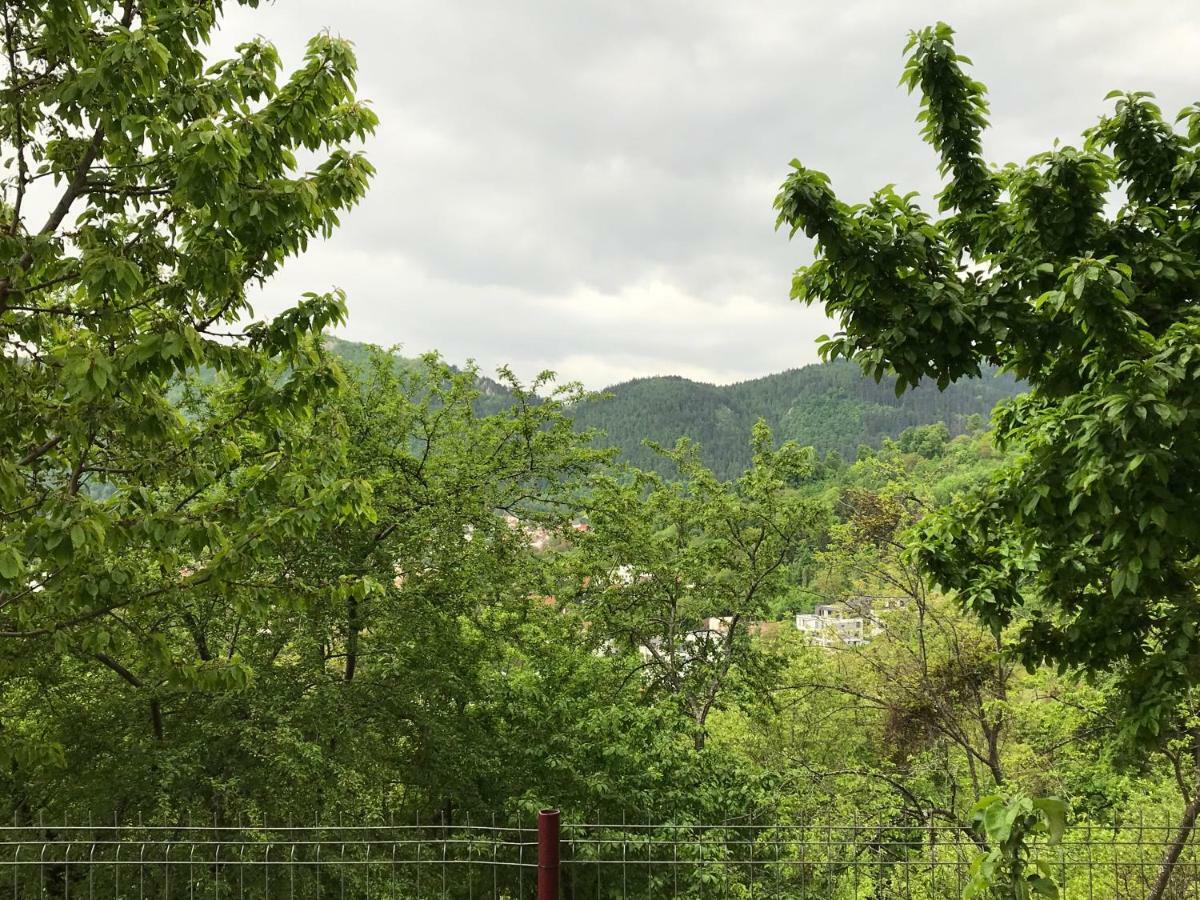 Calea Poienii Penthouse Apartment Brasov Ngoại thất bức ảnh